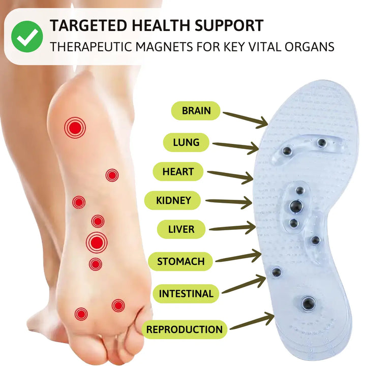 SOLETHERAPY | Wellness Accupressure Magnetic Insoles